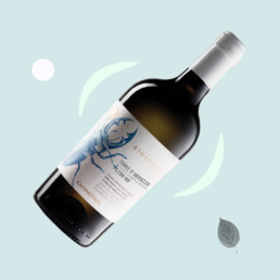 Pecorino Terre Abruzzo Bio