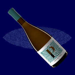 passerina cantina tollo