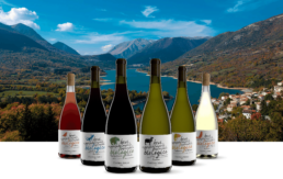 Cantina Tollo sostiene il Parco Nazionale d'Abruzzo